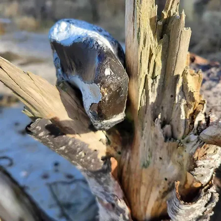 Zum Sonnenblick * Kröpelin